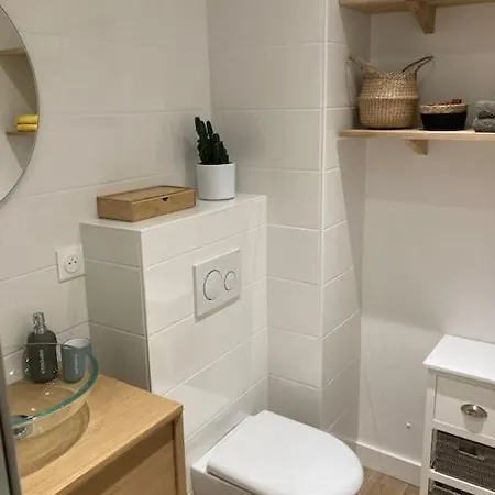 Apartment T2 Renove, Tout Equipe La Cime Des Pins + Parking